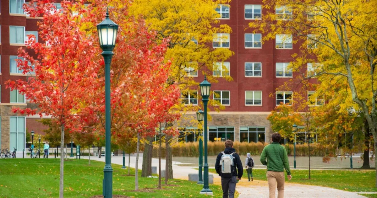 University of Vermont Scholarships in USA 2027 scholarship image