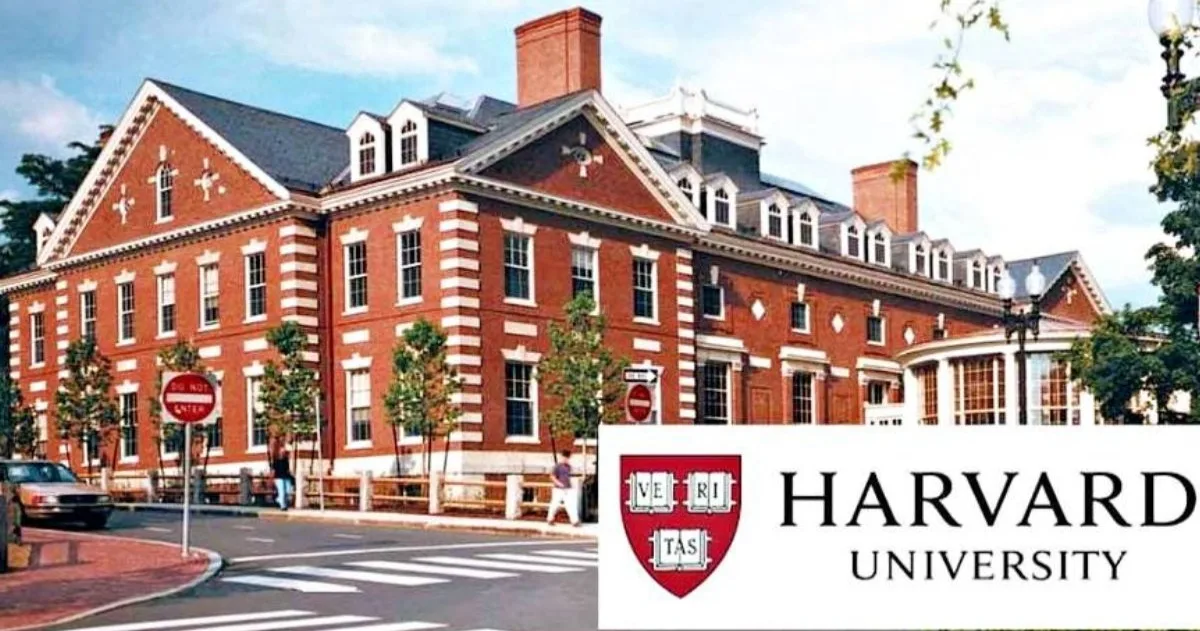 Harvard University Scholarships in USA 2027 scholarship image