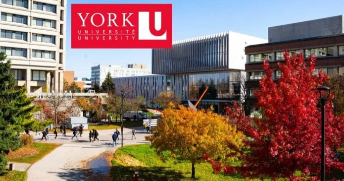 York University Presidential Scholarship in Canada scholarship image