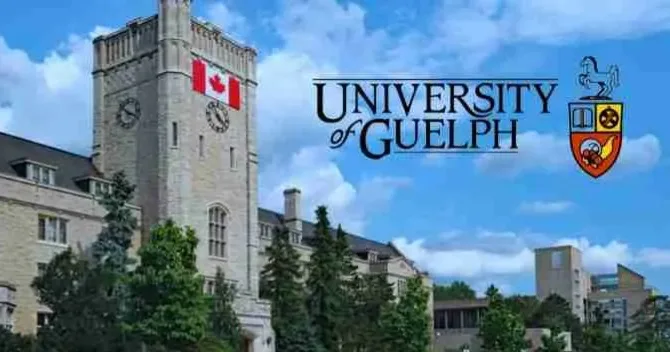 University of Guelph Scholarship in Canada scholarship image