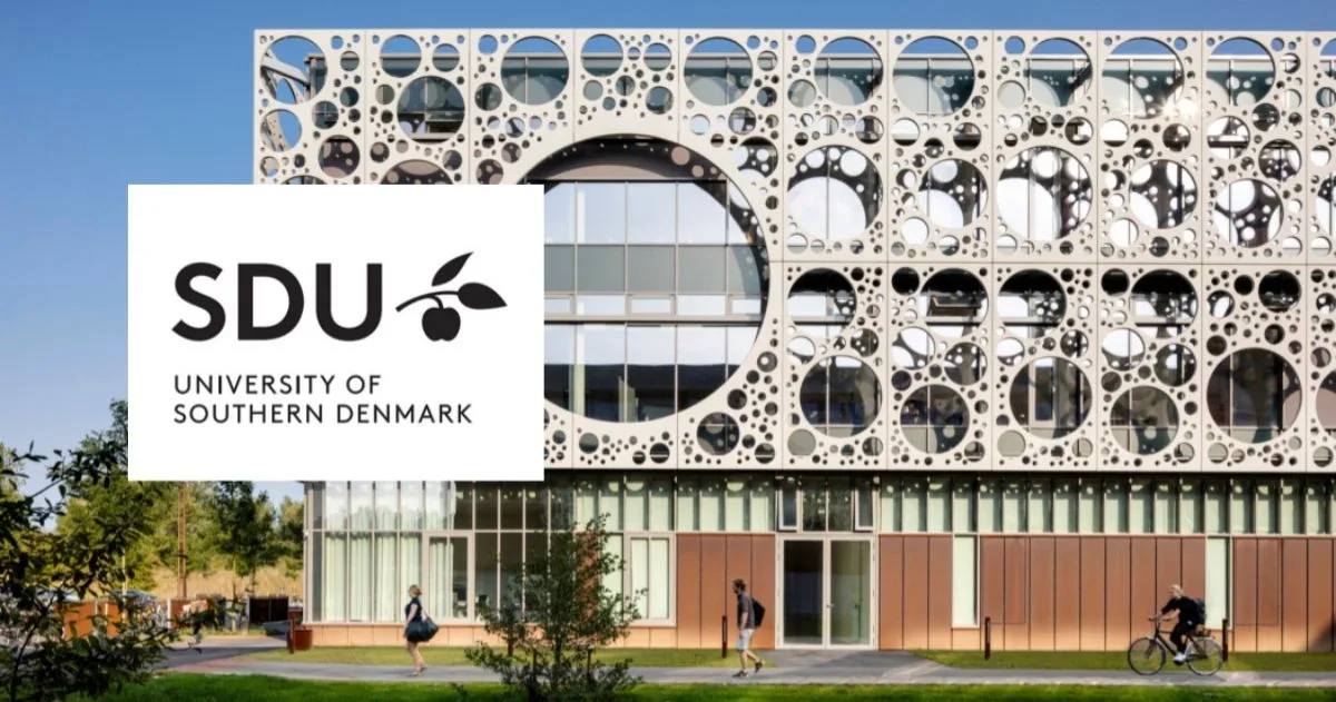 Danish Government Scholarship at Southern Denmark University (SDU) scholarship image
