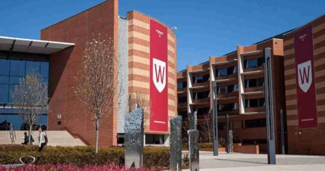 Western Sydney University Project Scholarship in Australia 2026 scholarship image