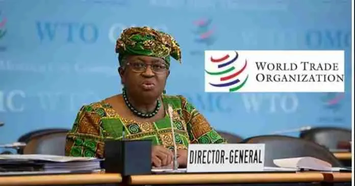 WTO Internship Program (World Trade Organization) scholarship image