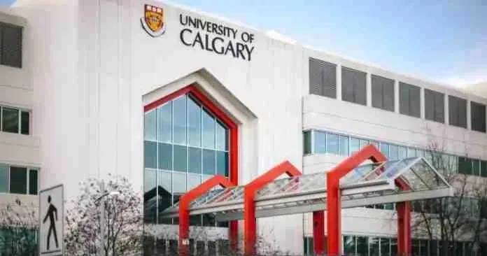 University of Calgary Entrance Scholarship in Canada scholarship image
