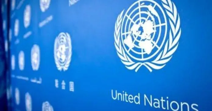 United Nations Young Professionals Programme  scholarship image