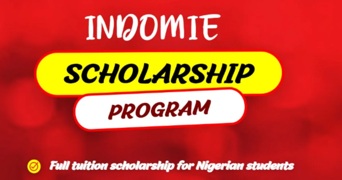 Indomie Scholarship Program 2026 scholarship image