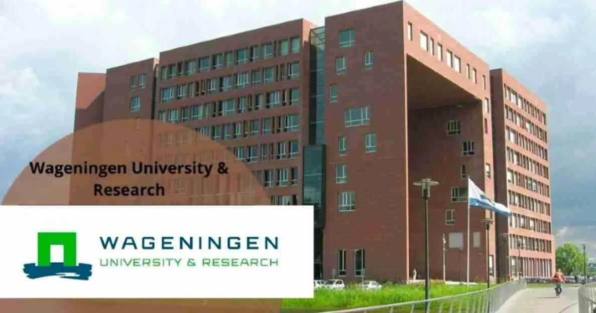 2027 Wageningen University Scholarships in Netherlands scholarship image